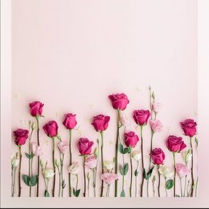 Meet your Posher, Tori